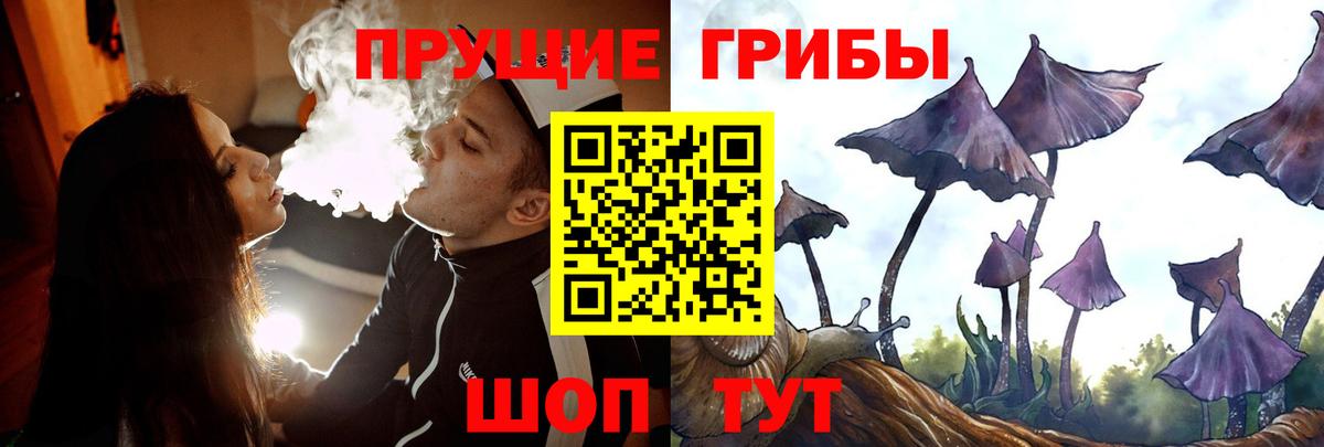 Гулькевичи  Псилоцибиновые грибы мухоморы  что такое   Вход с VPN  Галлюциногенные грибы Cubensis 